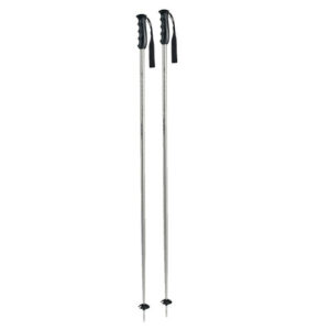 Komperdell Blazer Ski Poles Silver 115