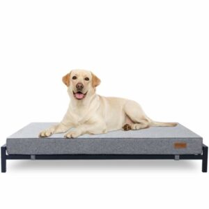 Kopeks Elevated Indoor/Outdoor Bed with Foam Mattress for Dogs