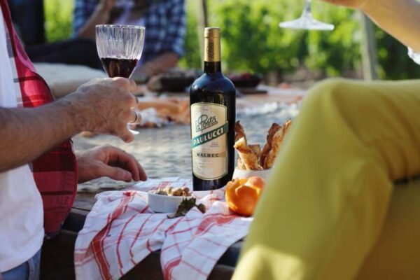 La Posta 2018 Angel Paulucci Vineyard Malbec - Red Wine