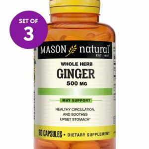 Mason Natural Vitamins & Supplements - 60-Ct. Ginger 500-mg Caplets - Set of 3