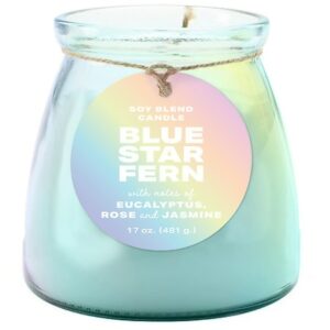 Modern Expressions Home Fragrance Everyday Jar Candle Blue Star Fern, 17 oz - 1.0 ea