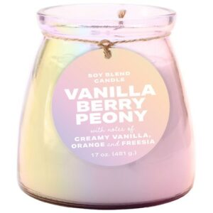 Modern Expressions Home Fragrance Everyday Jar Candle Vanilla Berry Peony, 17 oz - 1.0 ea