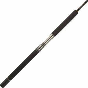 PENN Carnage II 7 ft MH Boat Casting Rod Black - Surf And Boat Rods at Academy Sports