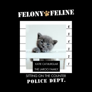 Pet Framed Canvas Print, Gold, 11x14, Home Décor -Felony Feline