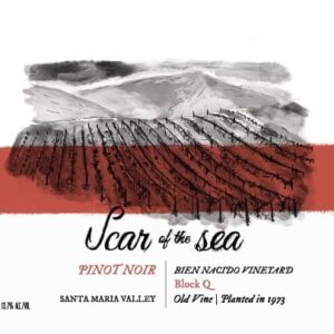 Scar of Sea 2016 Bien Nacido Vineyard Block Q Pinot Noir - Red Wine