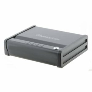 SentrySafe Quick Access Pistol Safe - Safes/ Cabints And Accessories at Academy Sports