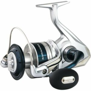 Shimano Saragosa Saltwater Spinning Reel - Bluewater Reels at Academy Sports