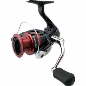 Shimano Sienna Spinning Reel, 40 - Spinning/Ultralight Reels at Academy Sports