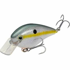 Strike King KVD1.5 Hard Knock 2-3/4 in. Crankbait Sexy Shad - Frsh Water Hard Baits at Academy Sports