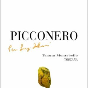 Tolaini 2011 Picconero Tenuta Montebello - Bordeaux Blends Red Wine