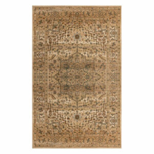 Traditional Floral Medallion Indoor Living Room Area Rug, 7'10"x10', B