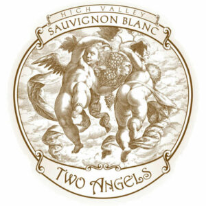 Two Angels 2018 Sauvignon Blanc - White Wine