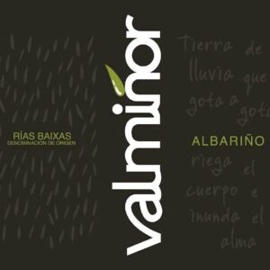 Valminor 2018 Rias Baixas Albarino - White Wine