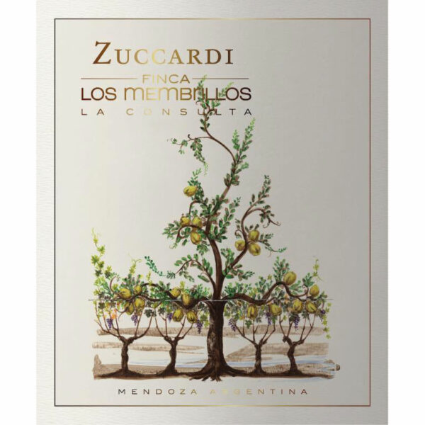 Zuccardi 2013 Finca Los Membrillos - Cabernet Sauvignon Red Wine