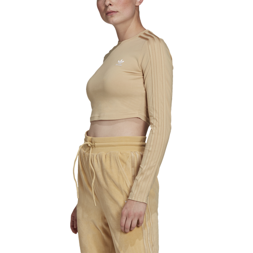 adidas Originals Womens adidas Originals Cropped Long Sleeve - Womens Hazy Beige Size S