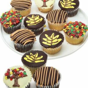 Autumn's Chocolate Cupcakes - Regular