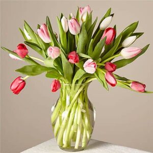 Budding Love Tulip Bouquet | Best