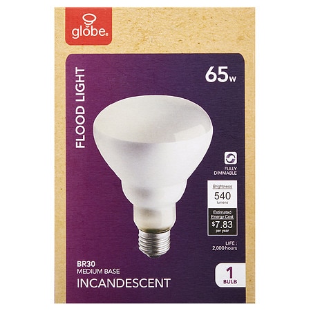 GLOBE Flood Light - 1.0 ea