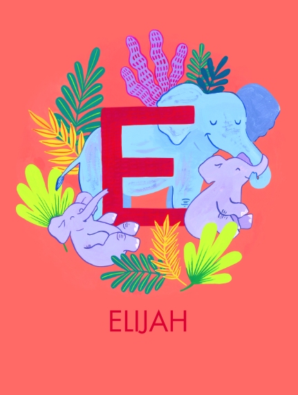 Non Photo Fleece Baby Blanket, 30x40, Gift -Animal Monogram E