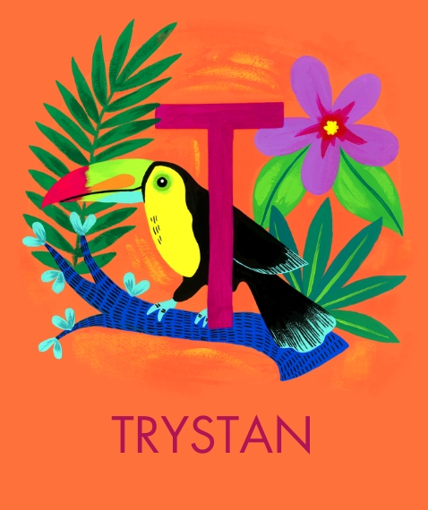 Non Photo Fleece Blanket, 50x60, Gift -Animal Monogram T