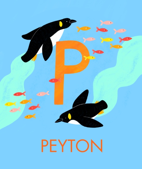 Non Photo Plush Fleece Photo Blanket, 50x60, Gift -Animal Monogram P