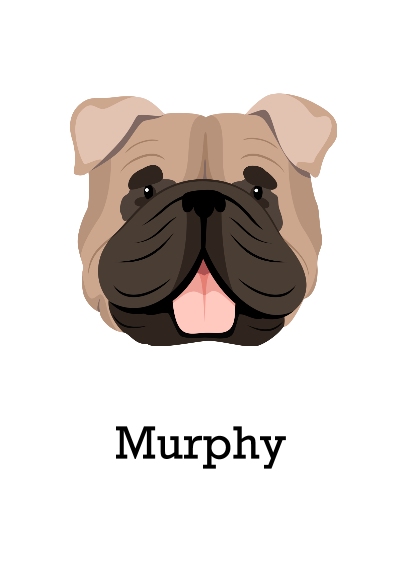 Pet Canvas Print, 20x30, Home Décor -English Bulldog