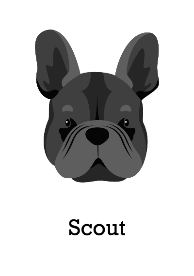 Pet Canvas Print, 20x30, Home Décor -French Bulldog