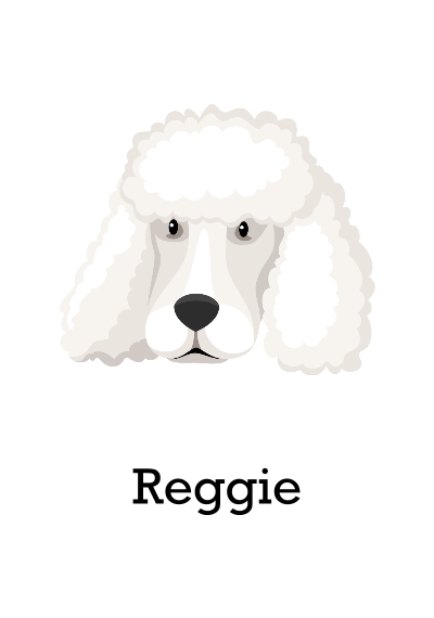 Pet Canvas Print, 20x30, Home Décor -Poodle Shaved