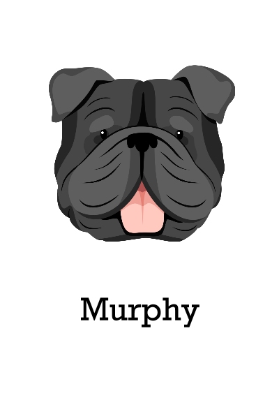 Pet Framed Canvas Print, Black, 20x30, Home Décor -English Bulldog