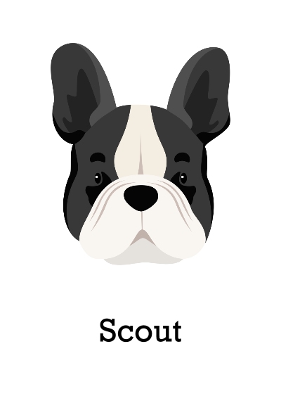 Pet Framed Canvas Print, Black, 20x30, Home Décor -French Bulldog