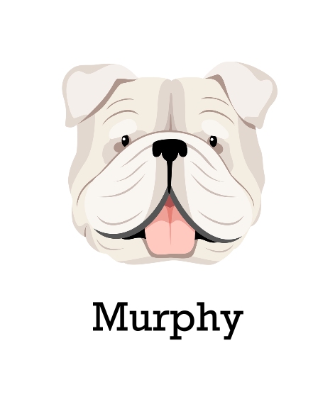 Pet Framed Canvas Print, Chocolate, 11x14, Home Décor -English Bulldog