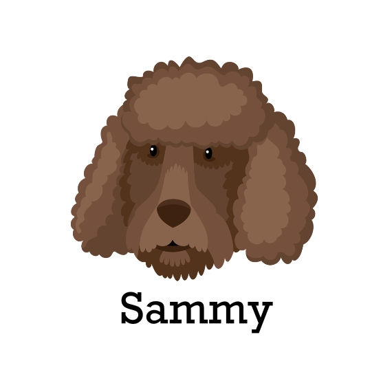 Pet Framed Canvas Print, Chocolate, 12x12, Home Décor -Poodle