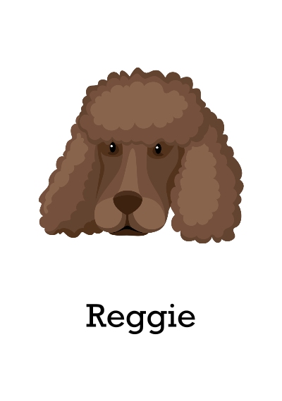 Pet Framed Canvas Print, Chocolate, 20x30, Home Décor -Poodle Shaved