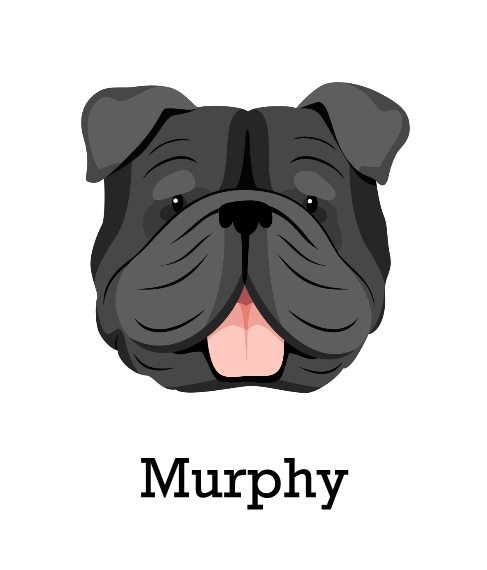 Pet Framed Canvas Print, Oak, 20x24, Home Décor -English Bulldog