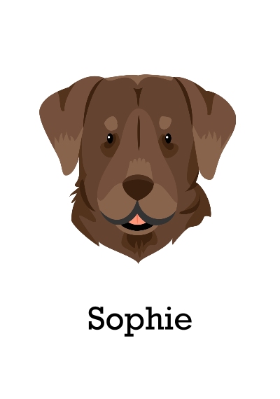 Pet Framed Canvas Print, Oak, 20x30, Home Décor -Labrador Retriever