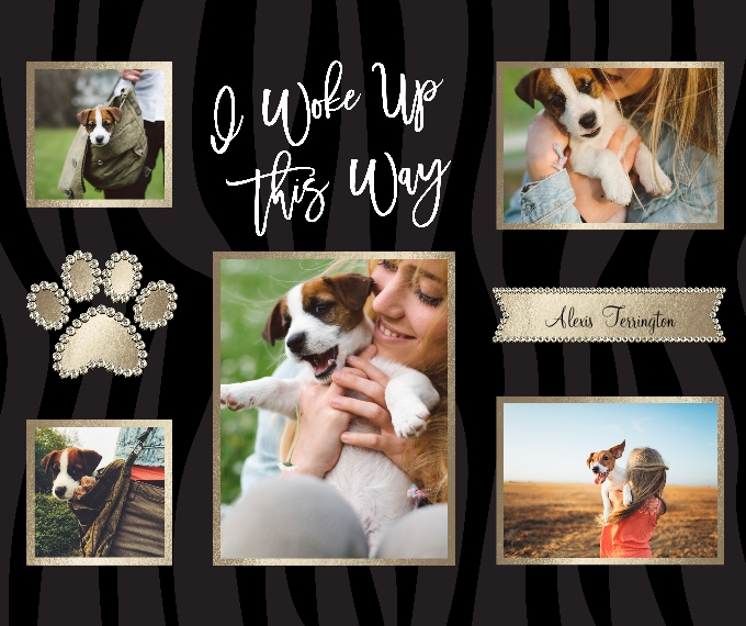 Pets Plush Fleece Photo Blanket, 50x60, Gift -Prosperous Pet