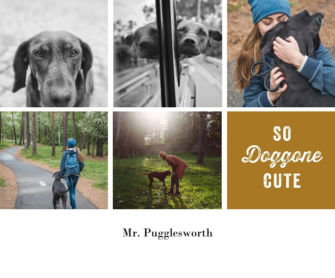 Pets Sherpa Blanket, 50x60, Gift -Pampered Pets