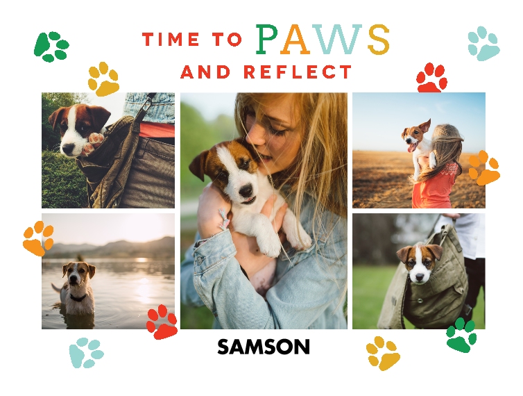 Pets Sherpa Blanket, 60x80, Gift -Well Have The Woofles