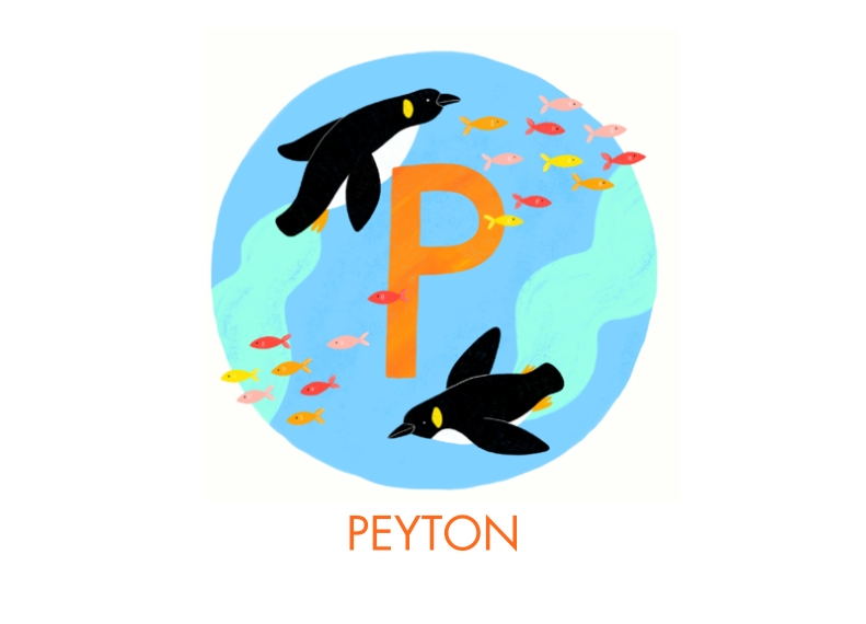 Pillows 14x20 Pillow, Gift -Animal Monogram P