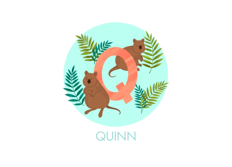 Pillows 14x20 Pillow, Gift -Animal Monogram Q