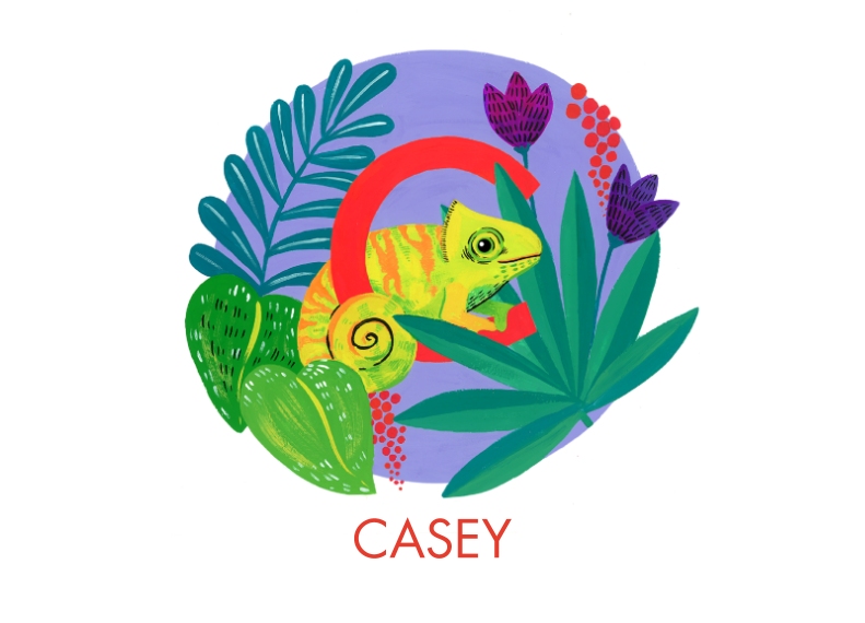 Pillows 14x20 Pillow, Gift -Animal Monogram