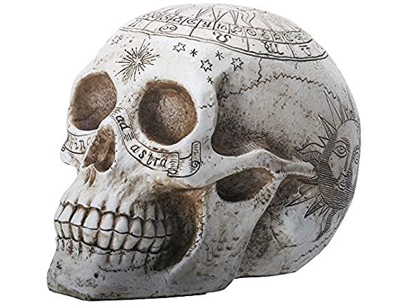 Resin Skull With Astrology
