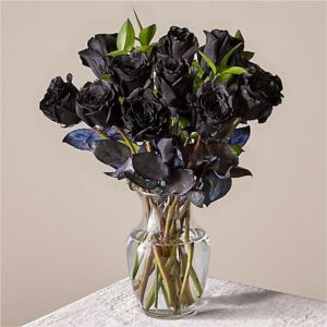 Written in the Stars Black Rose Bouquet Original With Vase