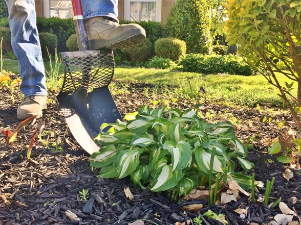 Arcadius Garden 60" Smart Shovel