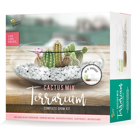 Buzzy Cactus Terrarium Grow Kit - 1.0 ea