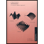 Calculus : A Computer Algebra Approach / With Solution Manual