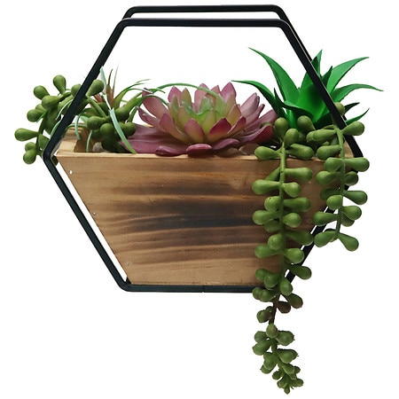 Festive Voice Artificial Succulent - 1.0 EA