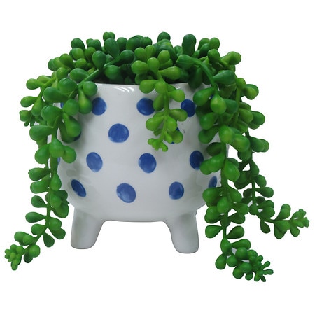 Festive Voice Dot Ceramic Pot with Greenery - 1.0 ea