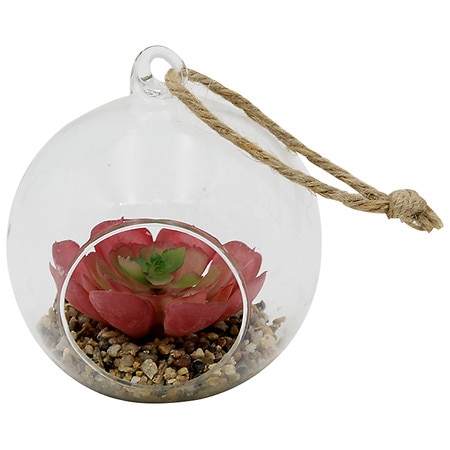 Festive Voice Hanging Glass Succulent - 1.0 EA