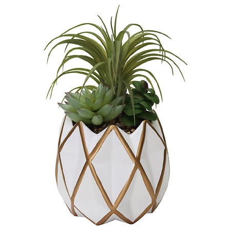 Festive Voice Pineapple Pot Succulent - 1.0 EA